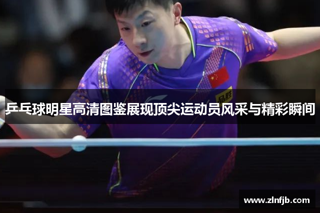 乒乓球明星高清图鉴展现顶尖运动员风采与精彩瞬间